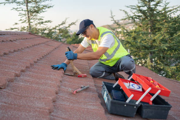 Best Roof Gutter Cleaning  in Knik Fairview, AK